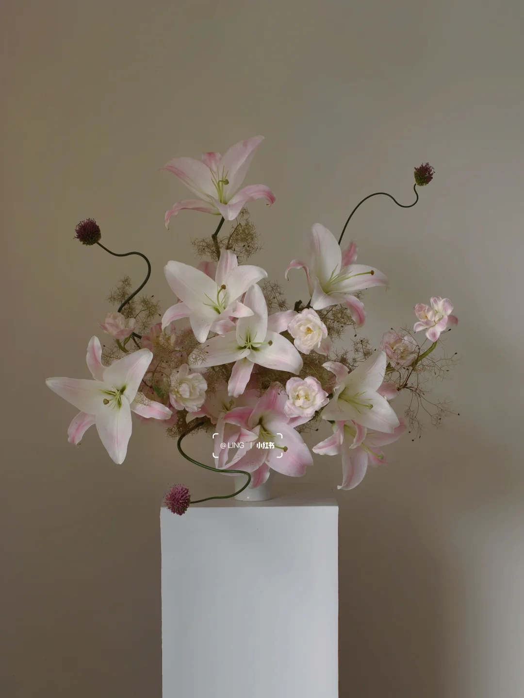 春日百合～粉嫩超标🌸