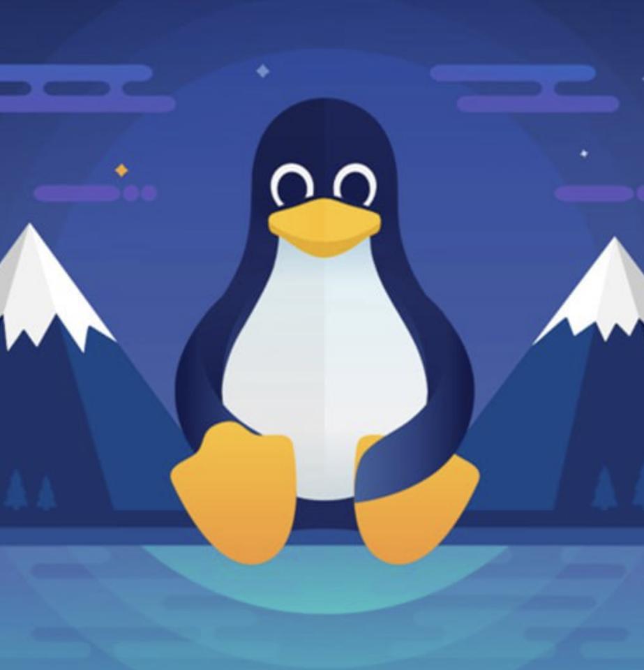 Linux 系统出现重大安全漏洞，借助漏洞可以轻松将普通用户权限提升到 root