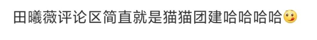 田曦薇评论区 猫猫团建田曦薇评论区猫猫团建超萌！ ​​​