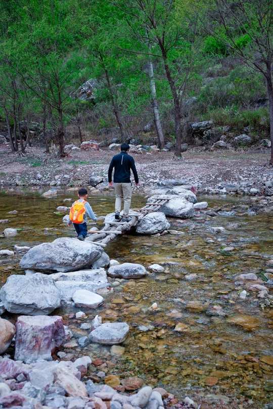 车开到水边的山谷露营地🕸鱼虾超多超清澈