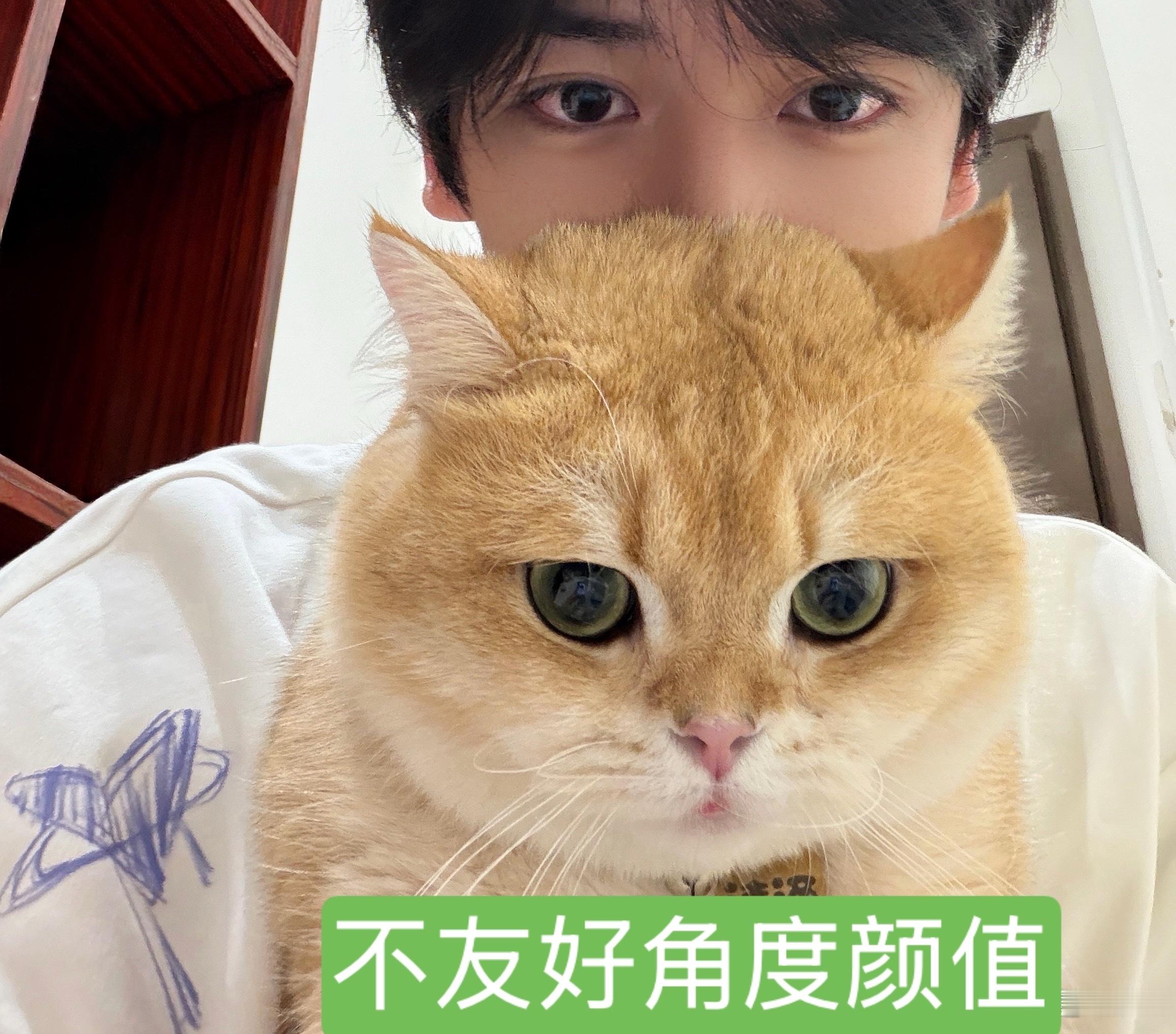 我要笑死了，一年前还在夸19是可爱小猫咪现在天天喊大肥猫！谁看了这个胖瘦对比能忍