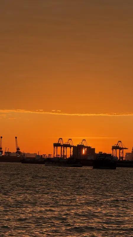 《光痕》
 
金芒裁碎影，发絮散如烟。
凝睇迎光处，心期落眼前。
衣衫承浅照，肌