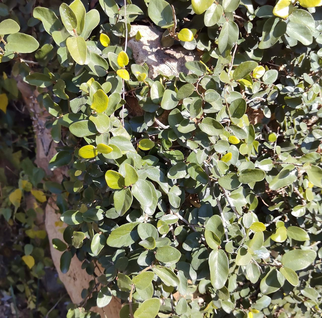 有网友说现在光棍太多了。男光棍多，女光棍也多。

我的看法是，可能因为现在处于观