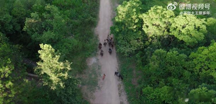 古平原 回家的诱惑张挺导演说古平原赢回了自己，追完大生意人彻底懂了，陈晓把角色从