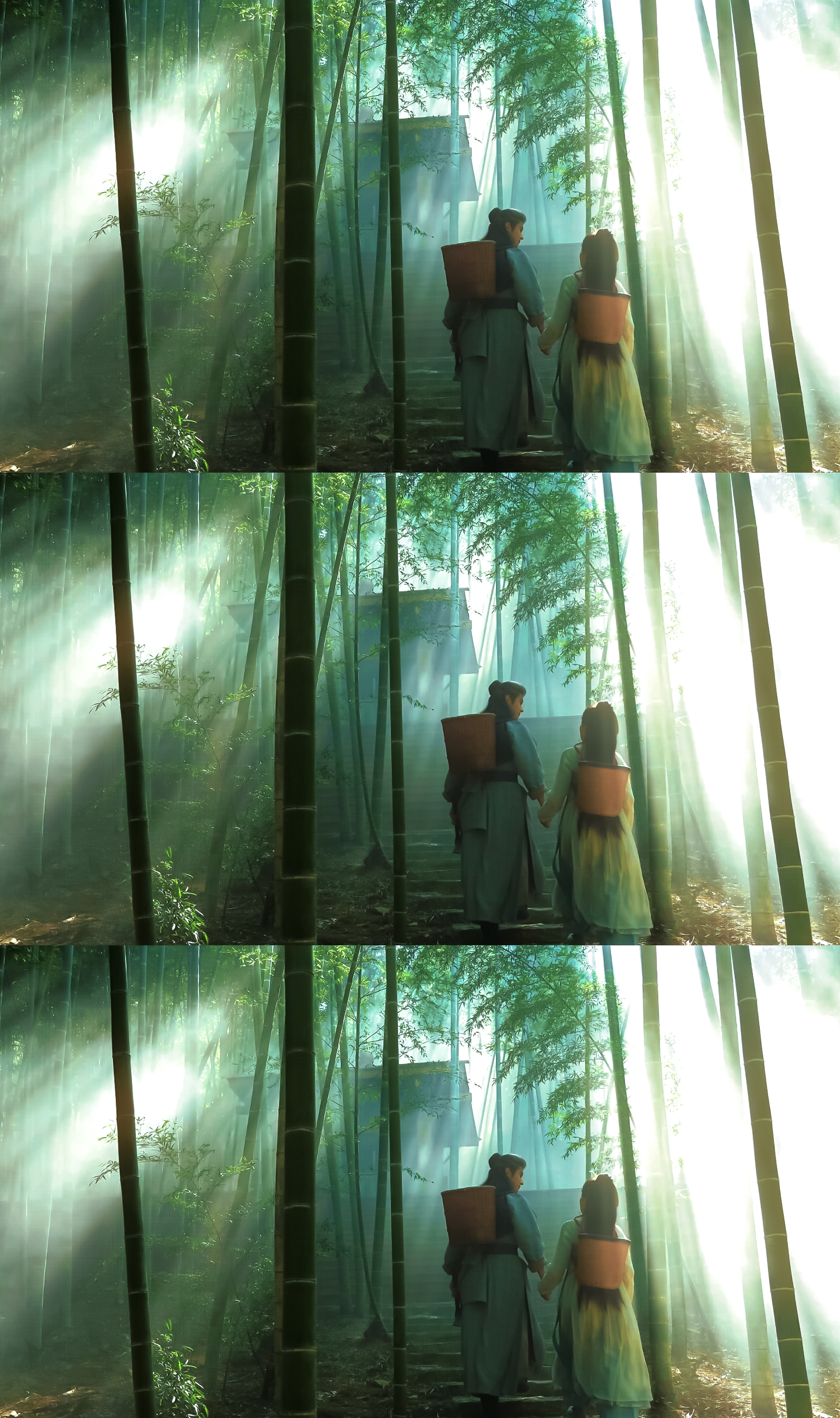 莫离.🍃 