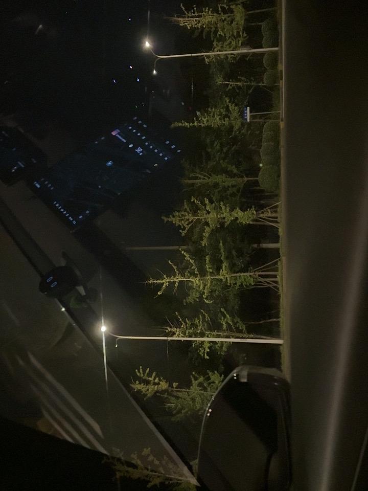 坐在车里，看路灯静静站在路边守着夜色，晚风裹着树影，城市慢慢卸下喧嚣。