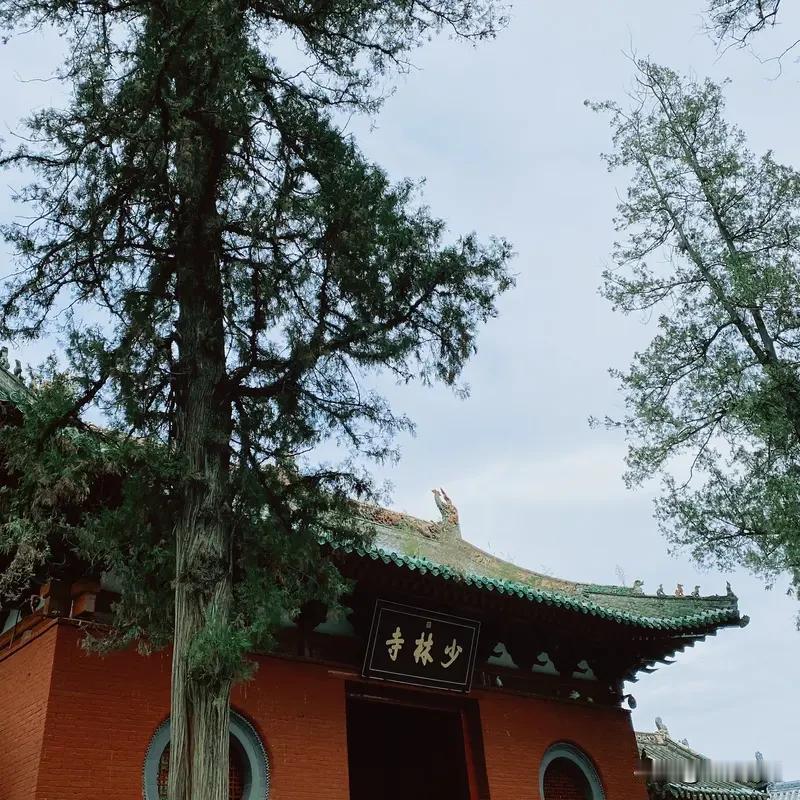 少林寺到底是哪里的？
 
标准答案：河南省郑州市登封市（嵩山） 。
 
- 地理