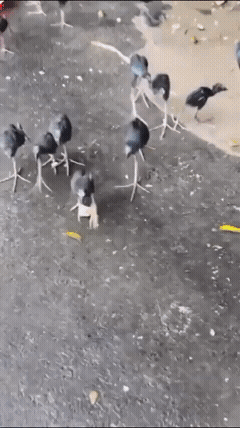 好吓人