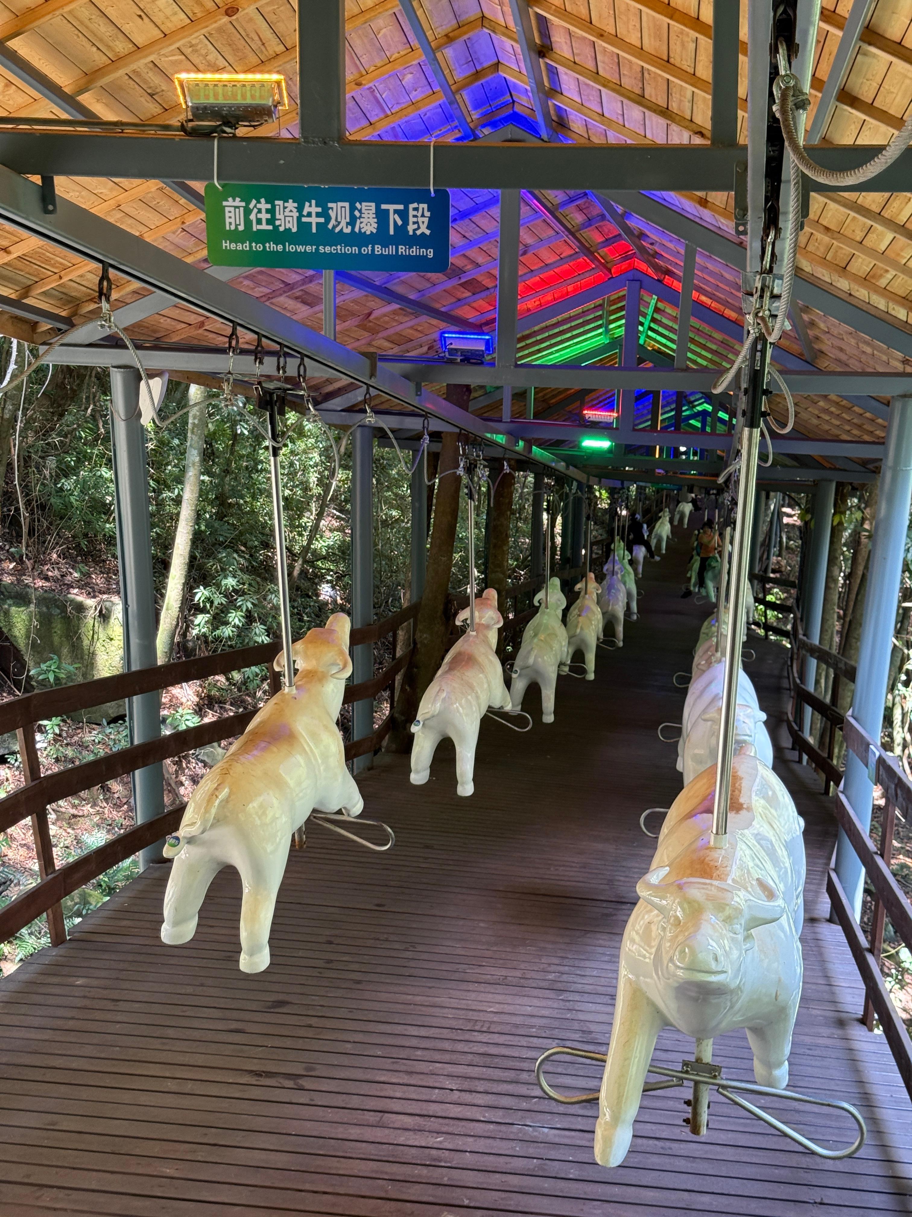 骑这牛的感觉，画面有点抽象啊这被挂着的牛感觉像菜市场刚被宰了挂着的样子[允悲] 