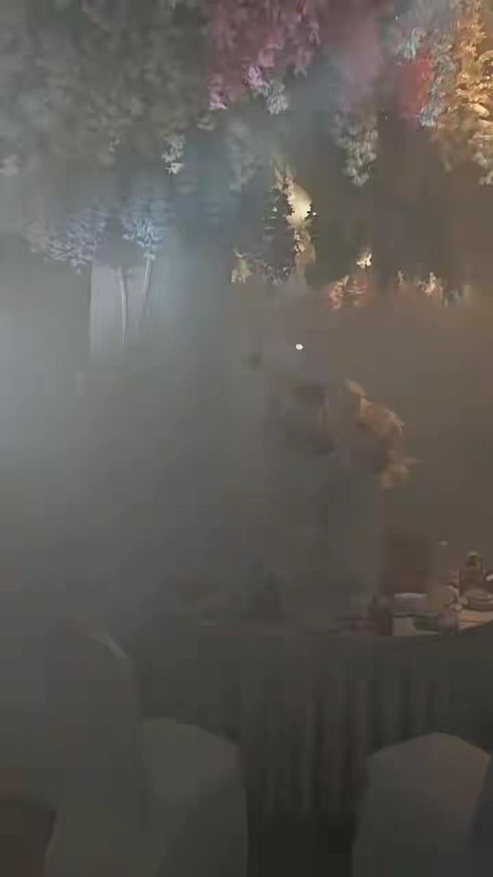 啼笑皆非！盘锦婚礼现场浓烟弥漫，宾客全员落灰，酒店借口遭全网吐槽
 （个人观点仅