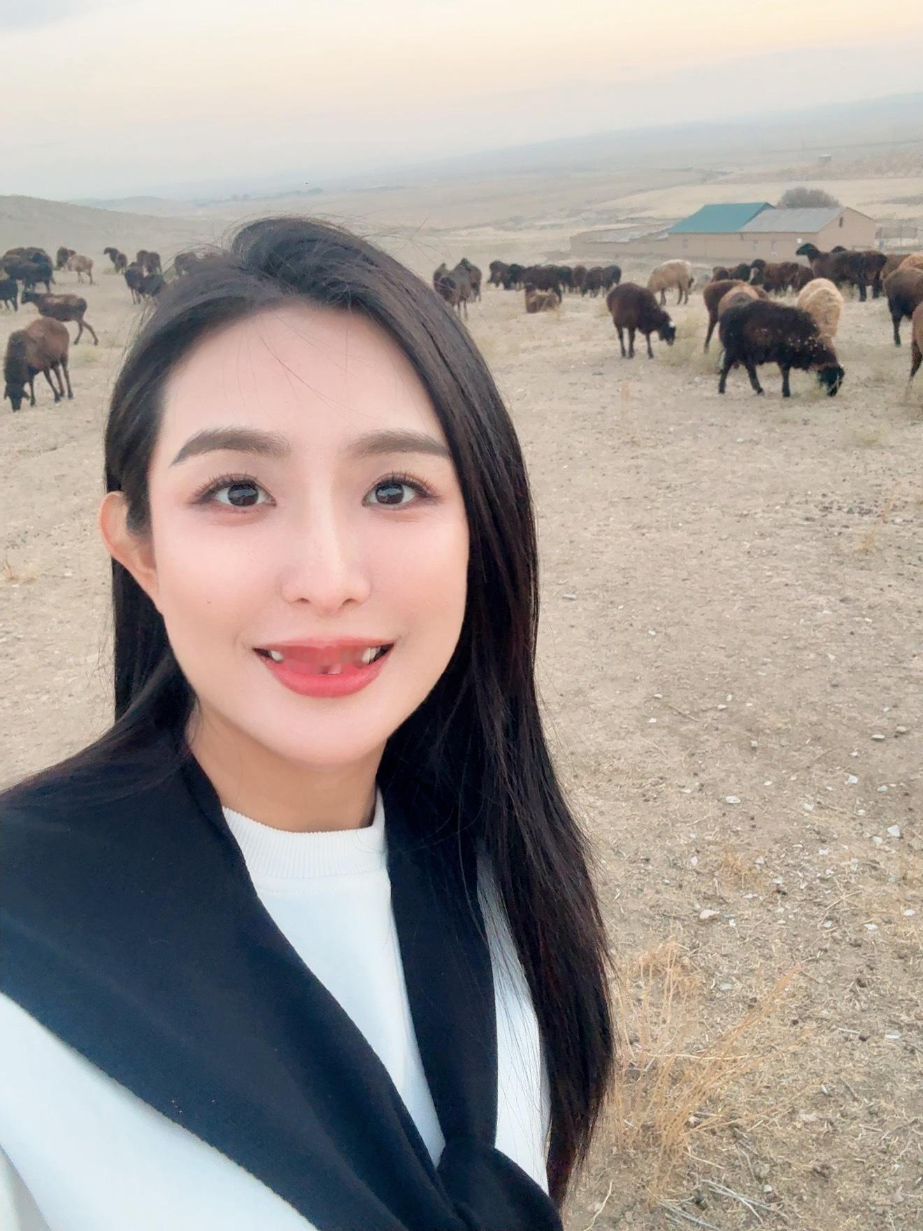 风吹草低见牛羊 