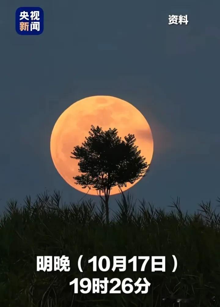 10月17日19:26分(周四)
年度最大满月将现身夜空
愿一切如愿!
#大月亮