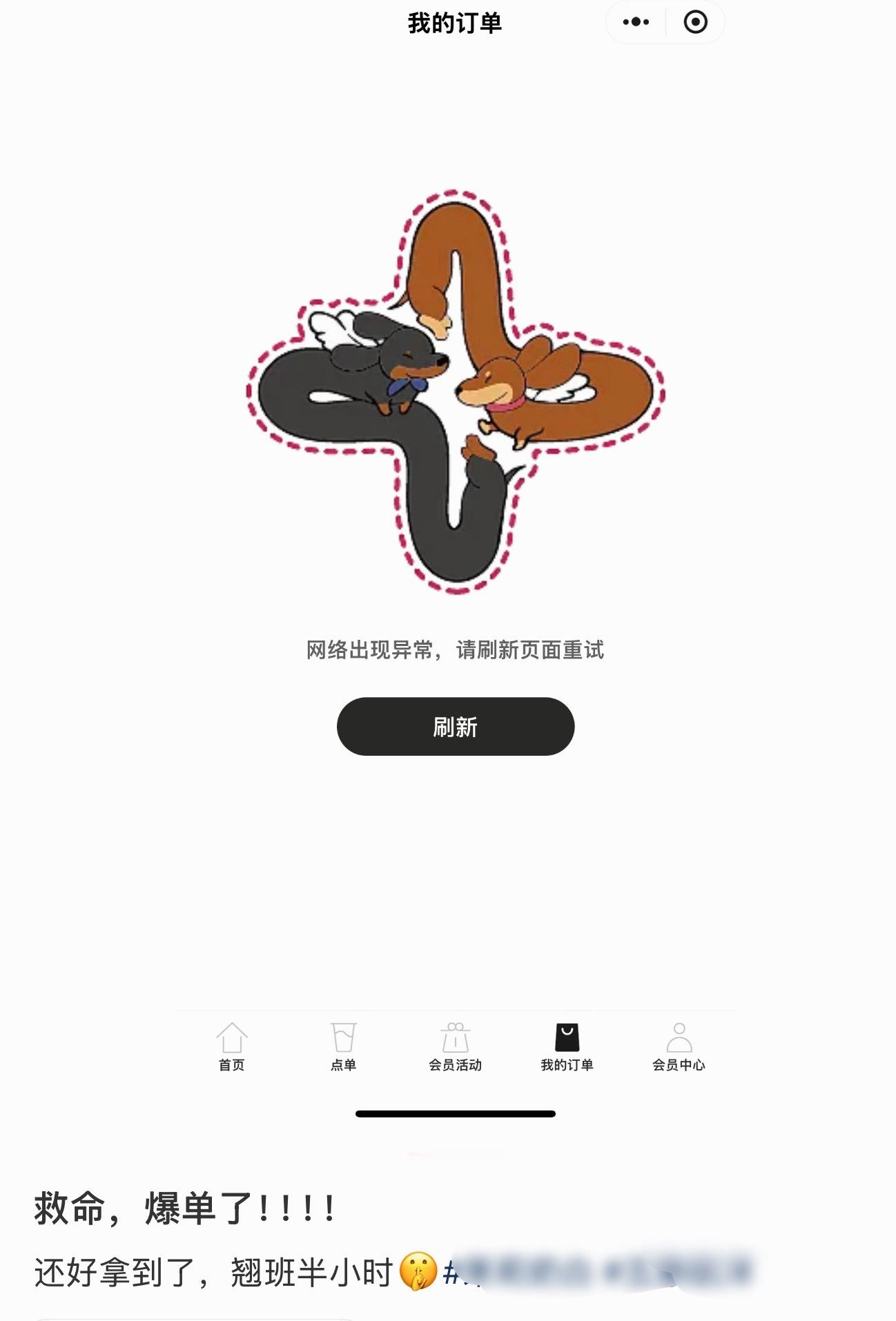 露思茉莉奶白和rdd联名，这么快就售罄了，小程序都崩了，这两只小腊肠这么火