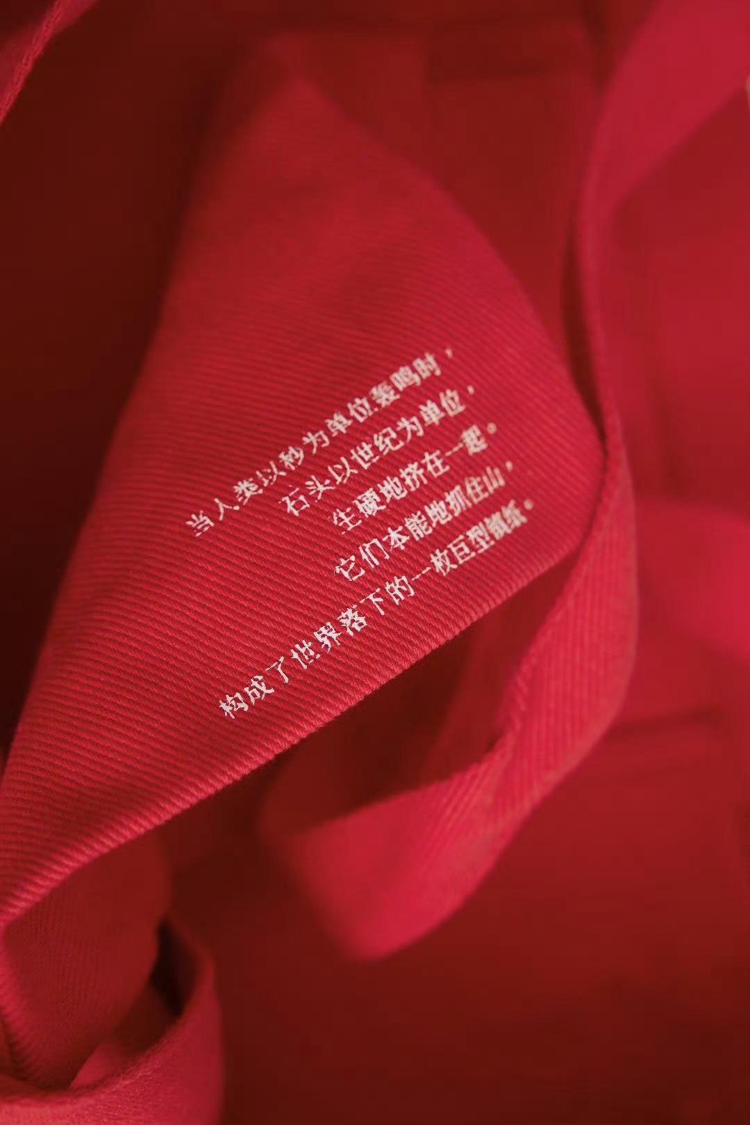 “当人类以秒为单位轰鸣时，石头以世纪为单位，生硬地挤在一起。它们本能地抓住山，构