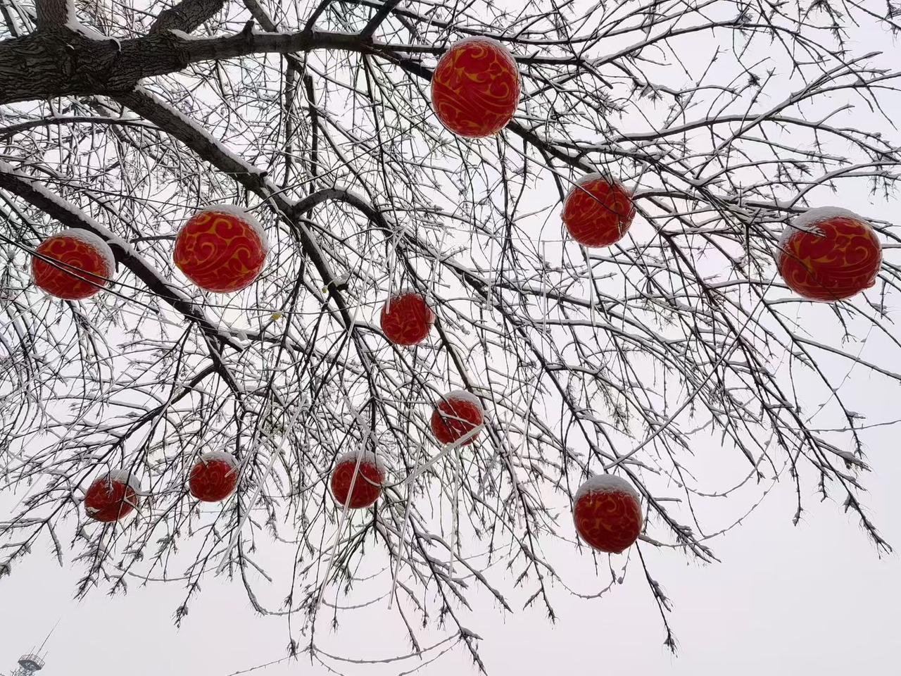 2. 寒枝覆雪，红灯映暖。愿新岁红火，岁岁安康。
3. 雪是冬日的留白，红灯是岁