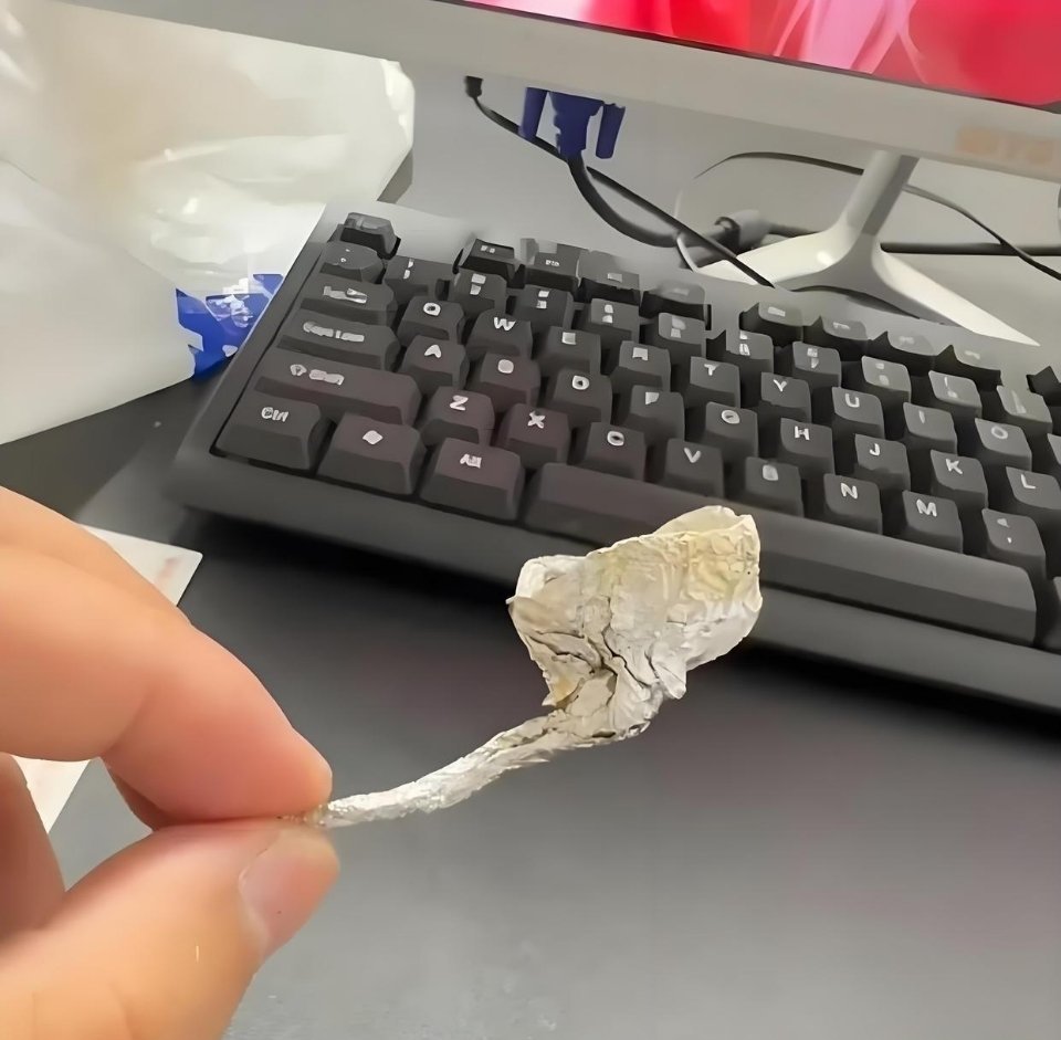 家里小女孩房间发现的 这是什么东西 