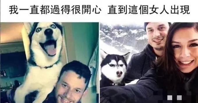 他们原本生活的很快乐，直到那个女人的出现，它的脸上再也没有了笑容[我想静静]