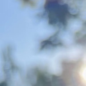 生活，需要一点阳光，生命，需要一些勇敢，纠结过去，担心未来，都不如抓住当下，过去