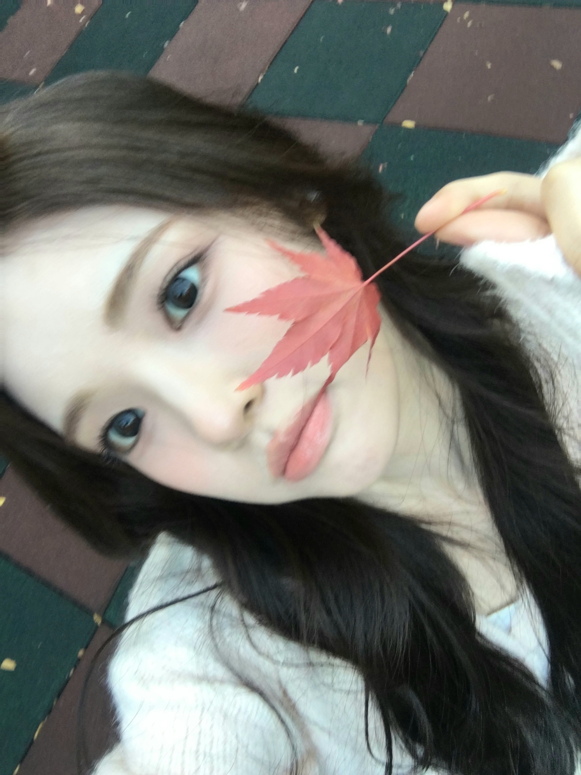 251114 wvs现在还是秋天🍂