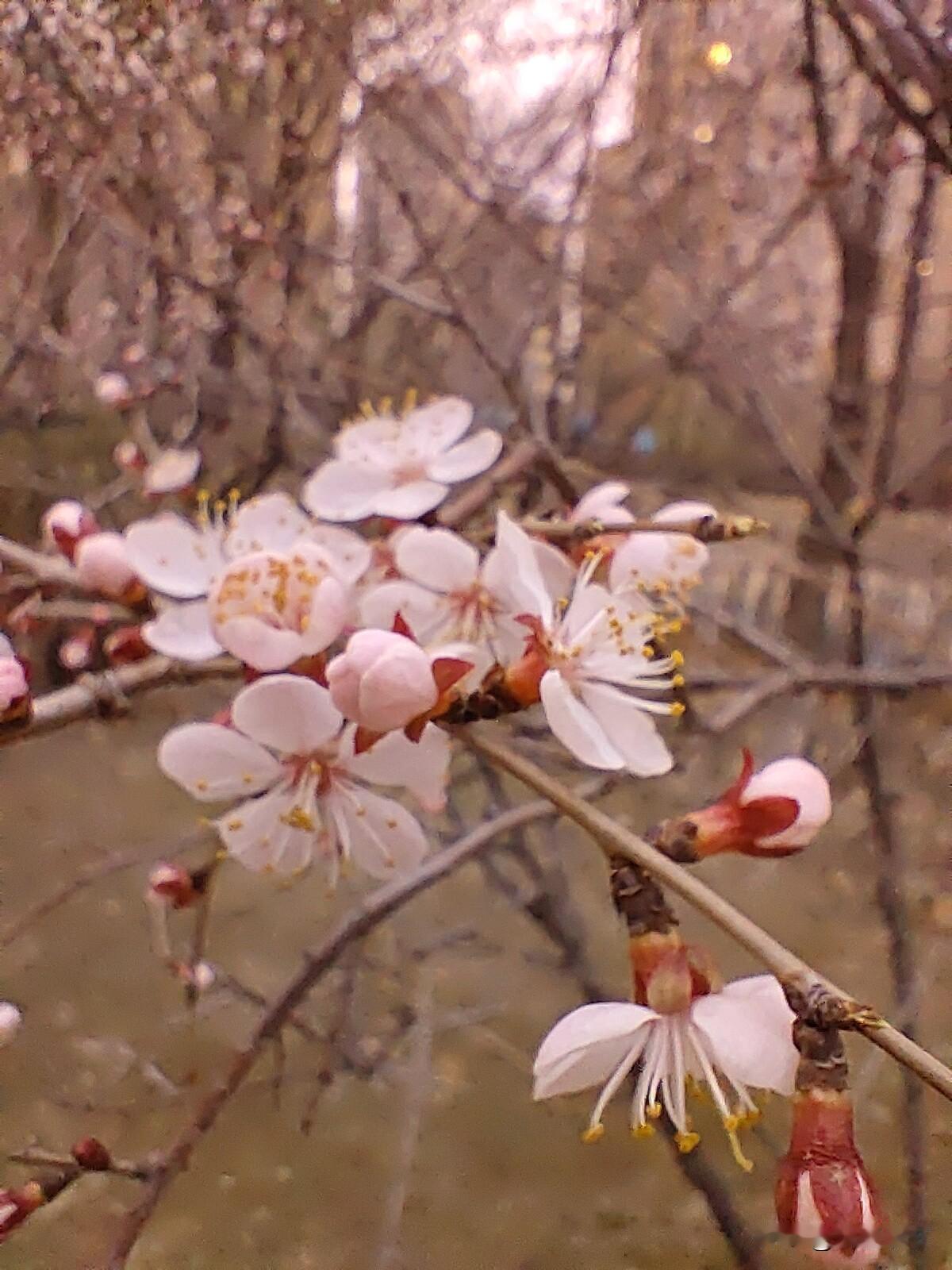 家贫而志高，最是拧巴又心酸
 
什么是家贫而志高？说白了，就是家里条件不好，日子