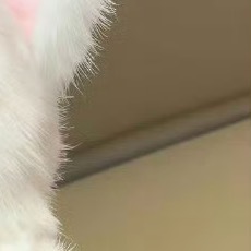 每日一善党的十八大提出，倡导富强、民主、文明、和谐，倡导自由、平等、公正、法治，
