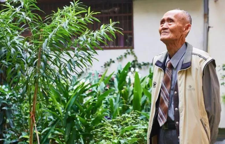 2023年6月15日，台湾老兵高秉涵回到故乡菏泽，看到家中石榴树悔恨说道：“这辈