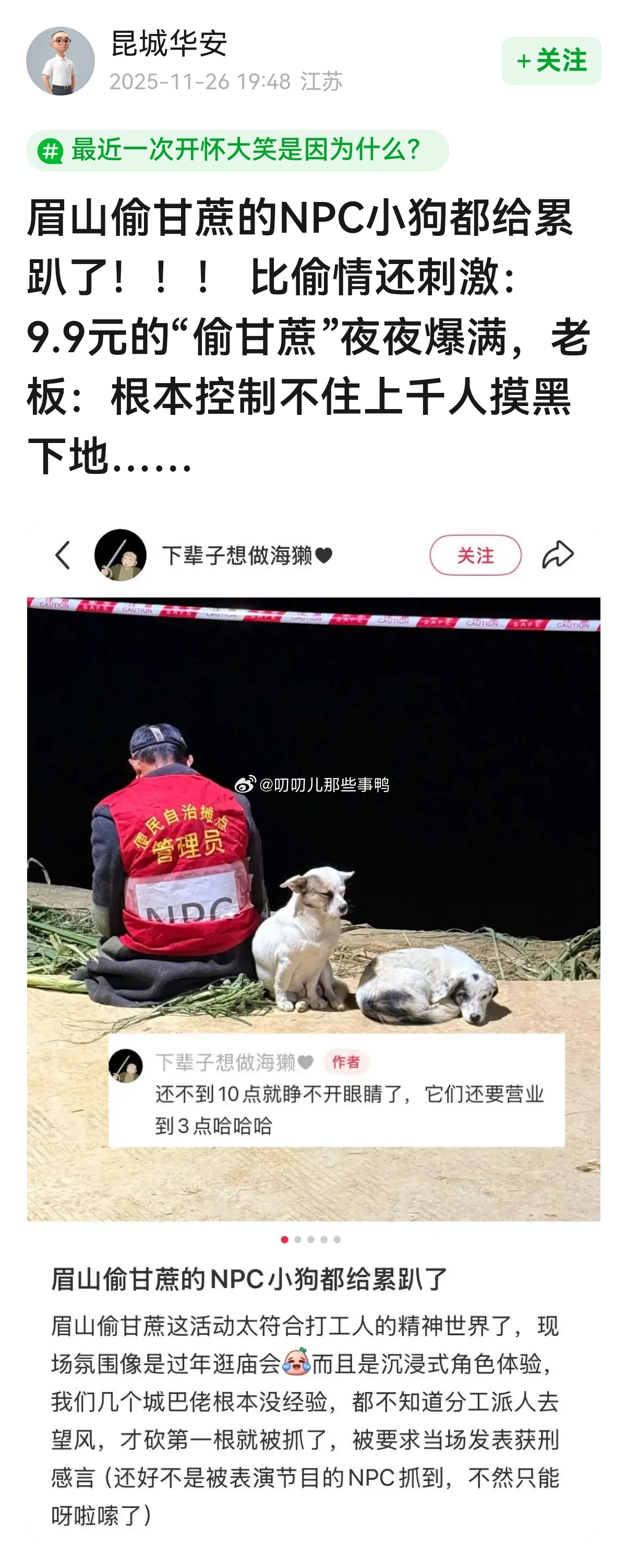 眉山偷甘蔗的NPC小狗都给累趴了！！！😂😂 