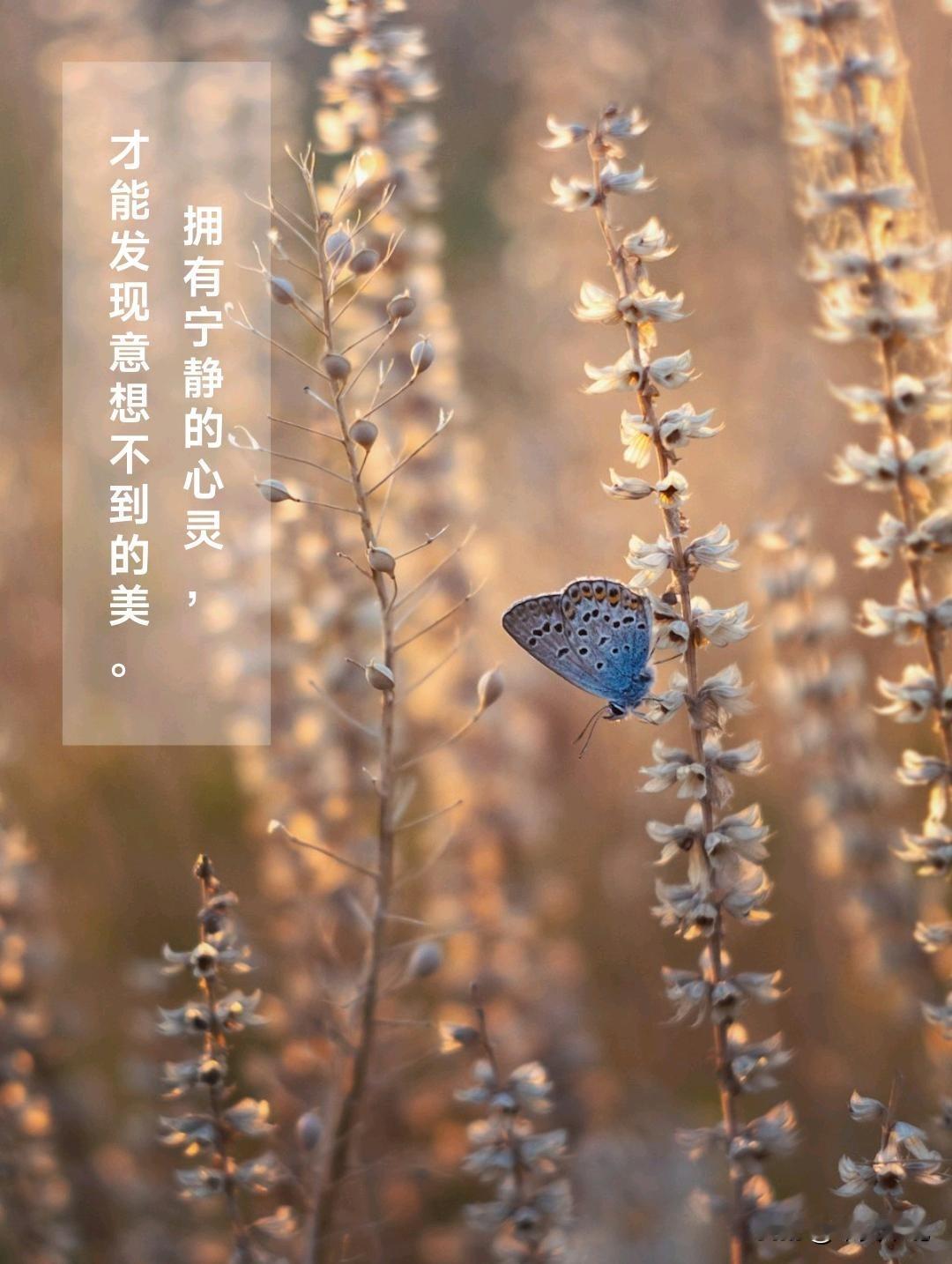 不喜欢看AI短剧。
平常追剧看的是故事情节的发展变化。看编剧的水平，看演员的艺术