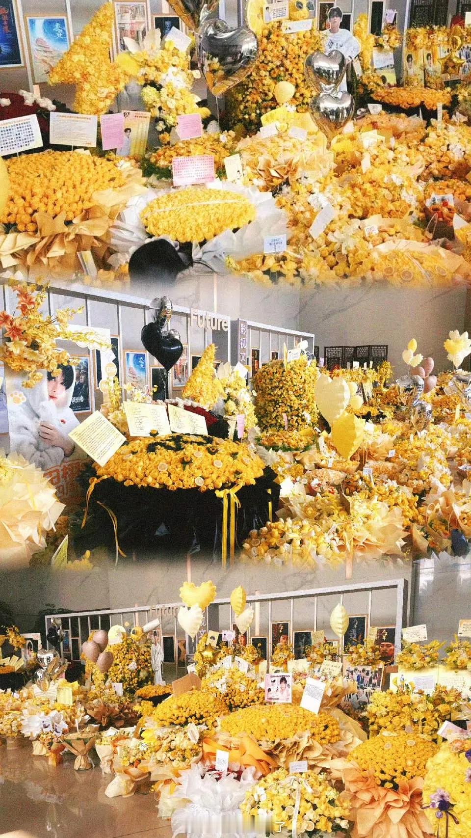 田栩宁竟然出道四周年了，粉丝在华策楼下送的花好漂亮。 