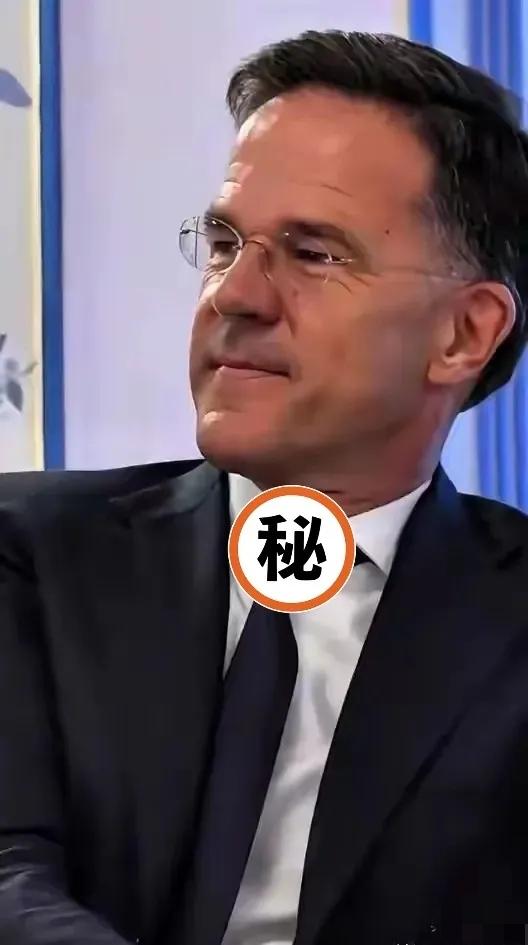 就在刚刚  
北约突然宣布了  

9月13日，北约秘书长吕特宣布启动“东部哨兵