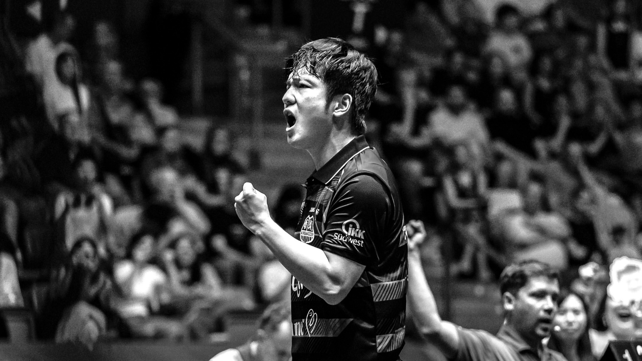 樊振东🏓2025-2026德甲联赛🏆樊振东德甲夺冠 【20260531】【图