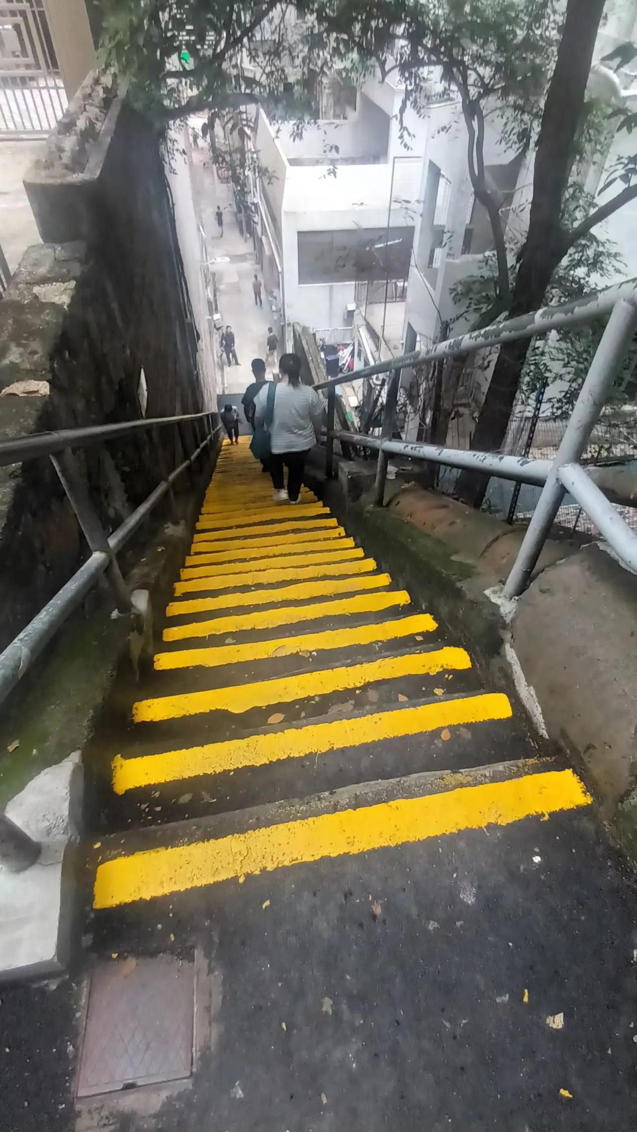 海岛香港，临海顺着山坡往上一级级建房造楼，浅滩堆填取地，到了海港航道必须保留不允