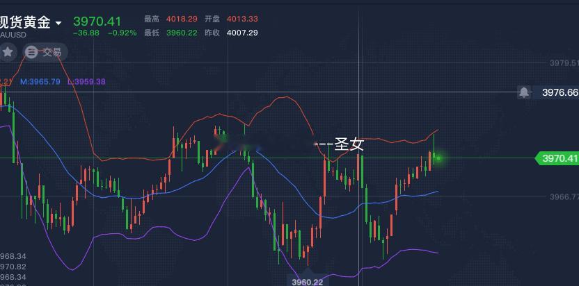 操作品种：黄金操作方向：空操作点位：3970黄金金价黄金外汇