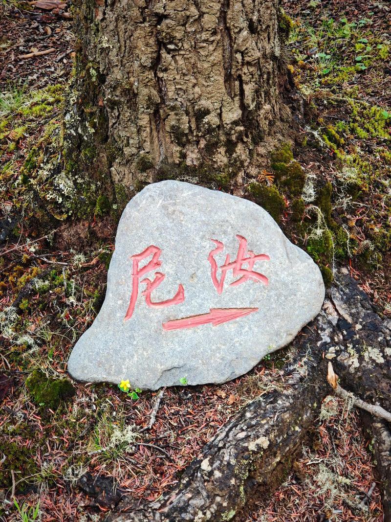 云南旅游，香格里拉尼汝村美景攻略！
香格里拉尼汝村
美景和美食推荐：
1、七彩瀑