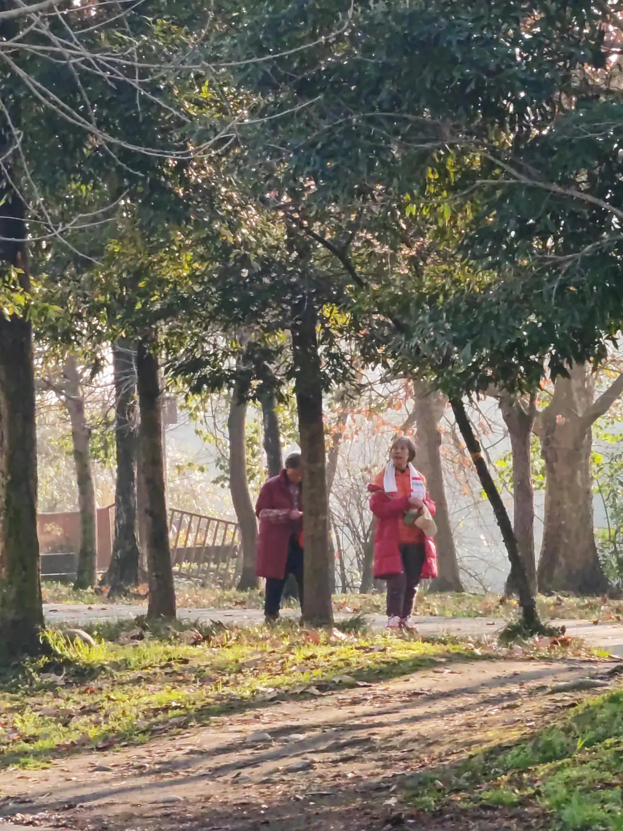 连续多日不见的太阳，今天早上重于露脸啦！