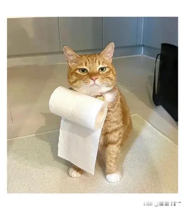 你不高兴吗，为什么这副表情？