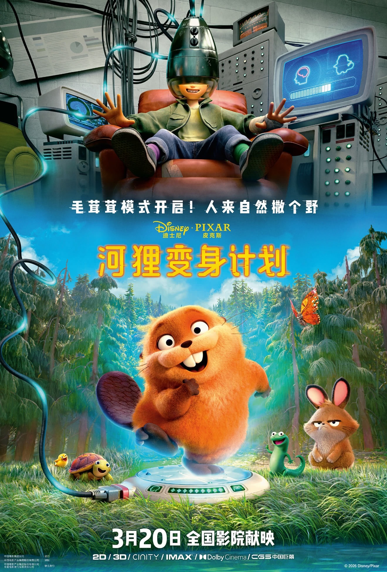 河狸变身计划  很意外这部不错。《河狸变身计划》是《疯狂动物城2 》后又一部讲动