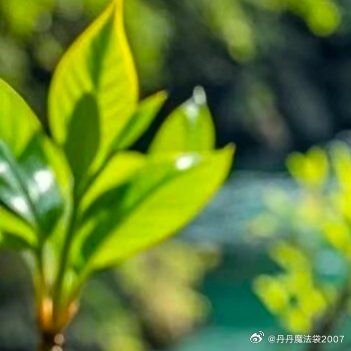 从来不是让你把一次考试当成人生成败的赌注，只是想让你在年轻的时候体会一次全力以赴