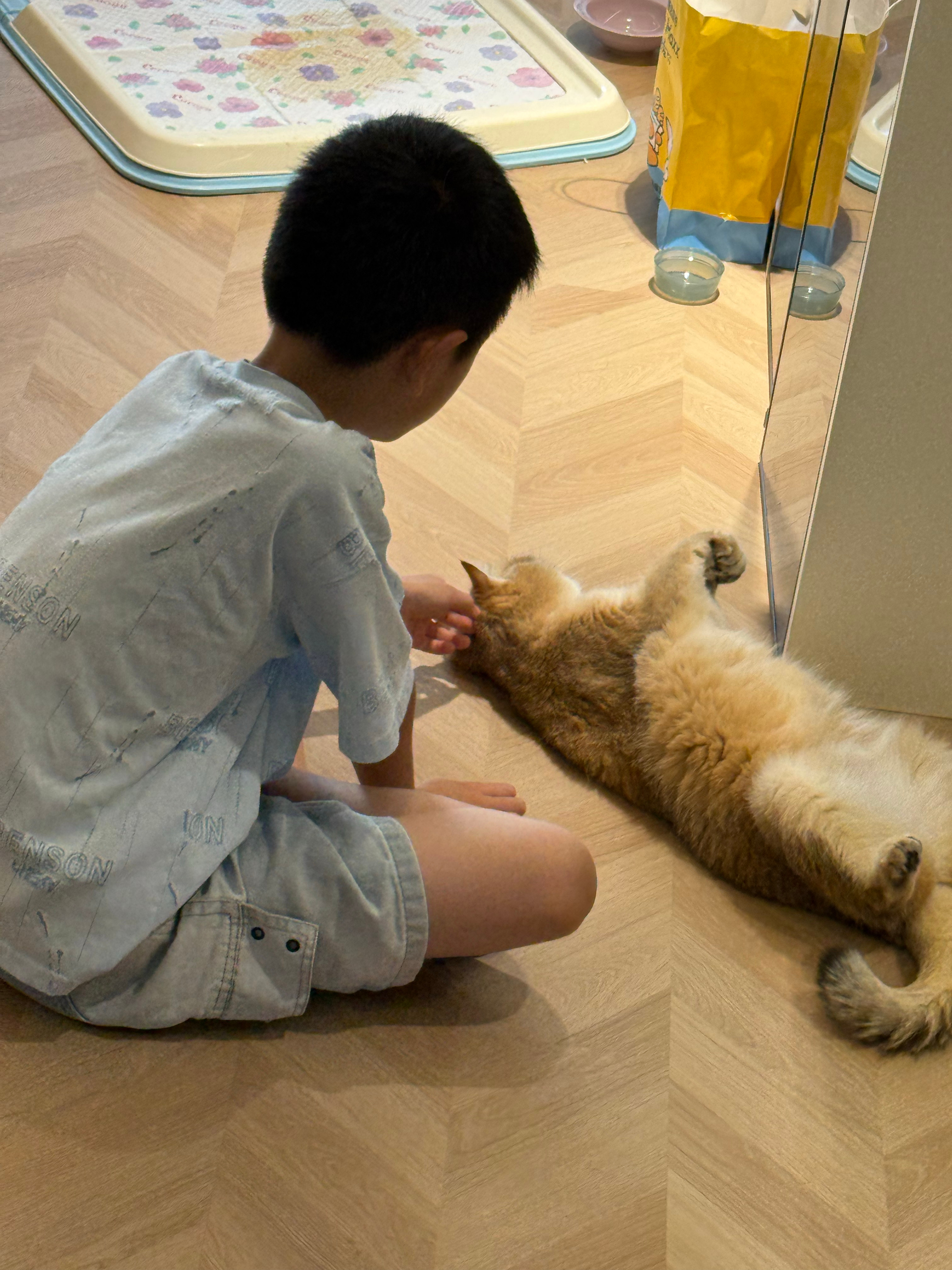 爱猫男小时候belike ​​​