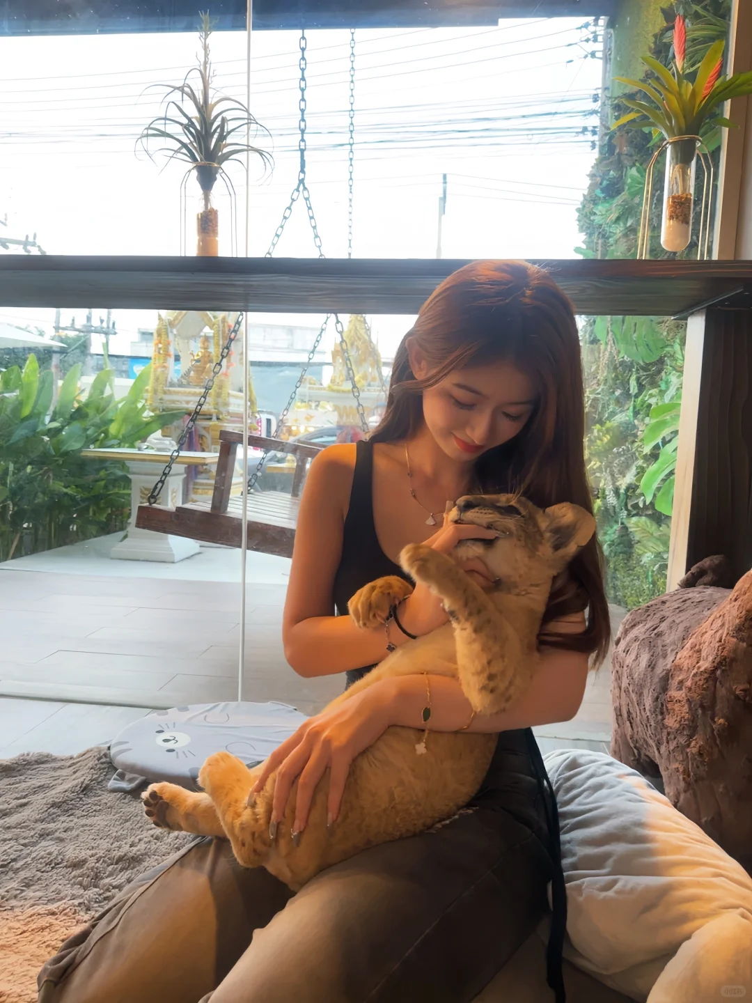 🇹🇭普吉岛｜可以来撸小狮子的咖啡馆☕️