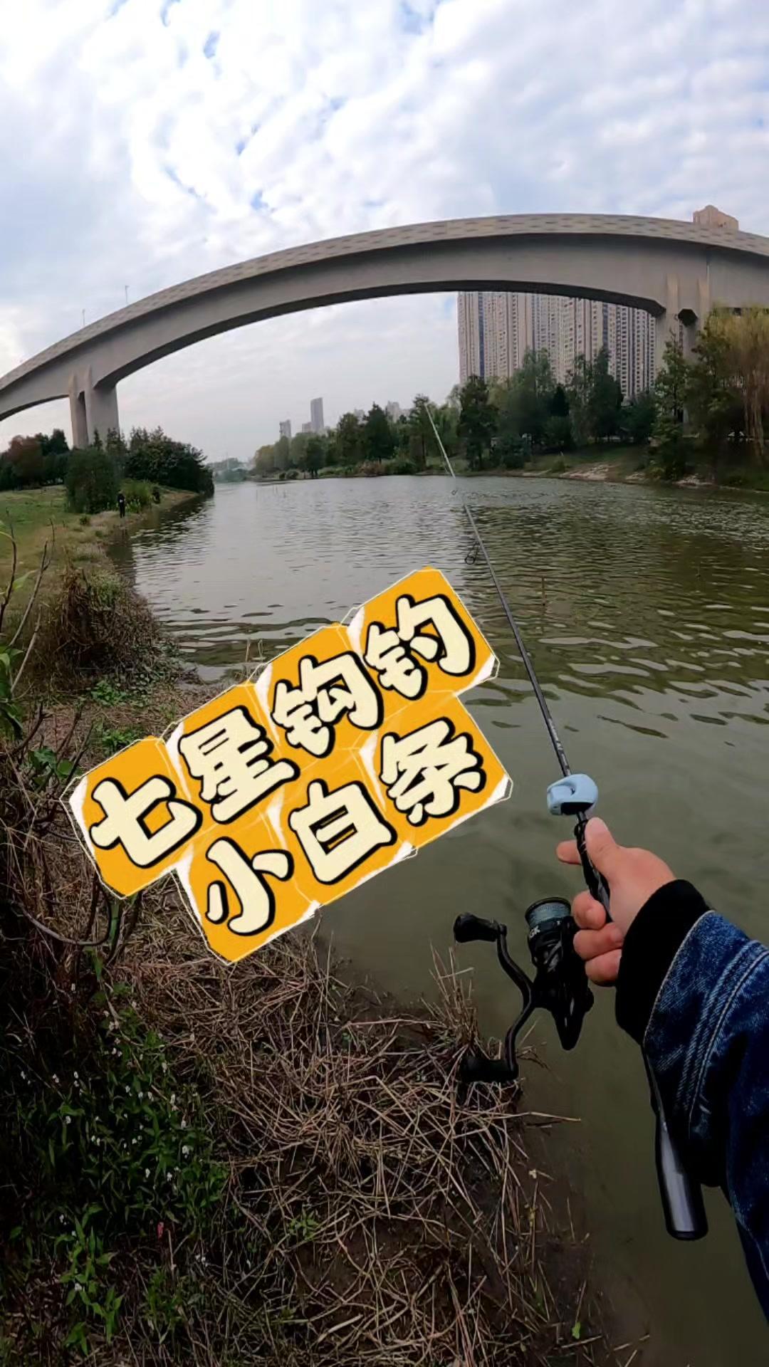 七星钩钓鱼真的太适合新手了！随便找个有流水的河道，打开线挡把钩子抛出去，等助投器