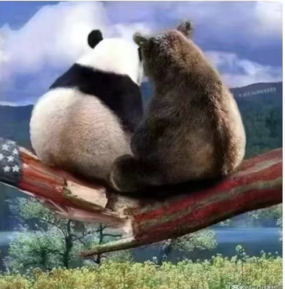 求标题与说明 ​​​
