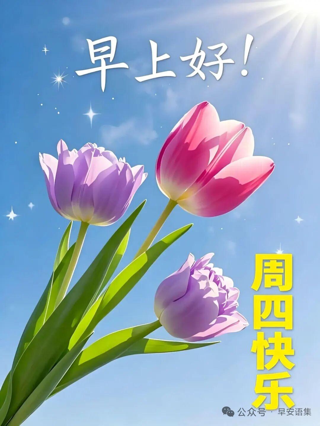 我认为诸葛亮诸葛亮足智多谋，有主见！