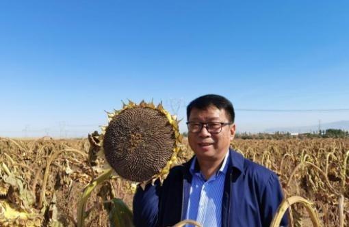 我国工程界大乌龙事件！2009年，重庆大学教授易志坚在研究物质力学时，意外发现了