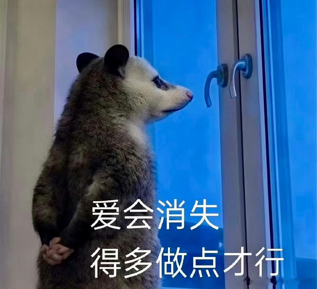 我们老钟人性压抑的一生，无论黑的白的最后全都说成黄的。而且黑的白的底下都会吵架辩