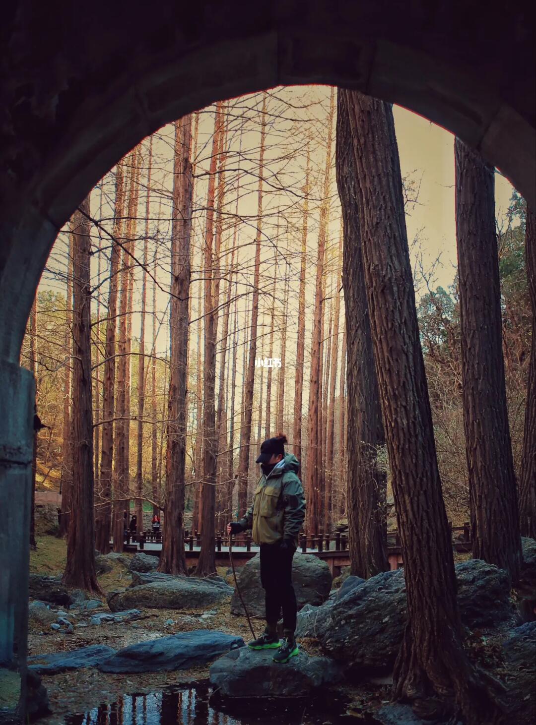 冬日徒步计划“北欧森林”无人秘境❗️只需5元