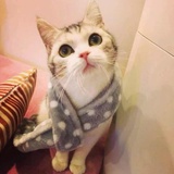 小幻逛逛汽车