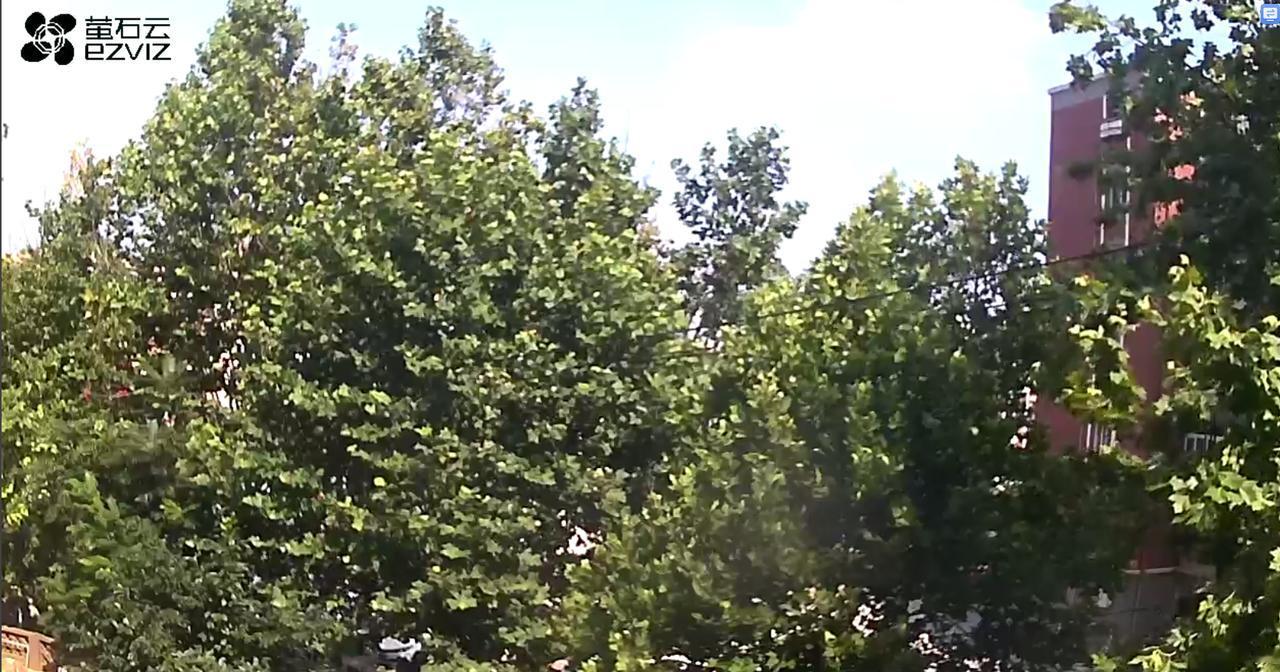 下午14：50市区天气晴，气温28.7度，相对湿度60%，吹西南风，目前大连地区