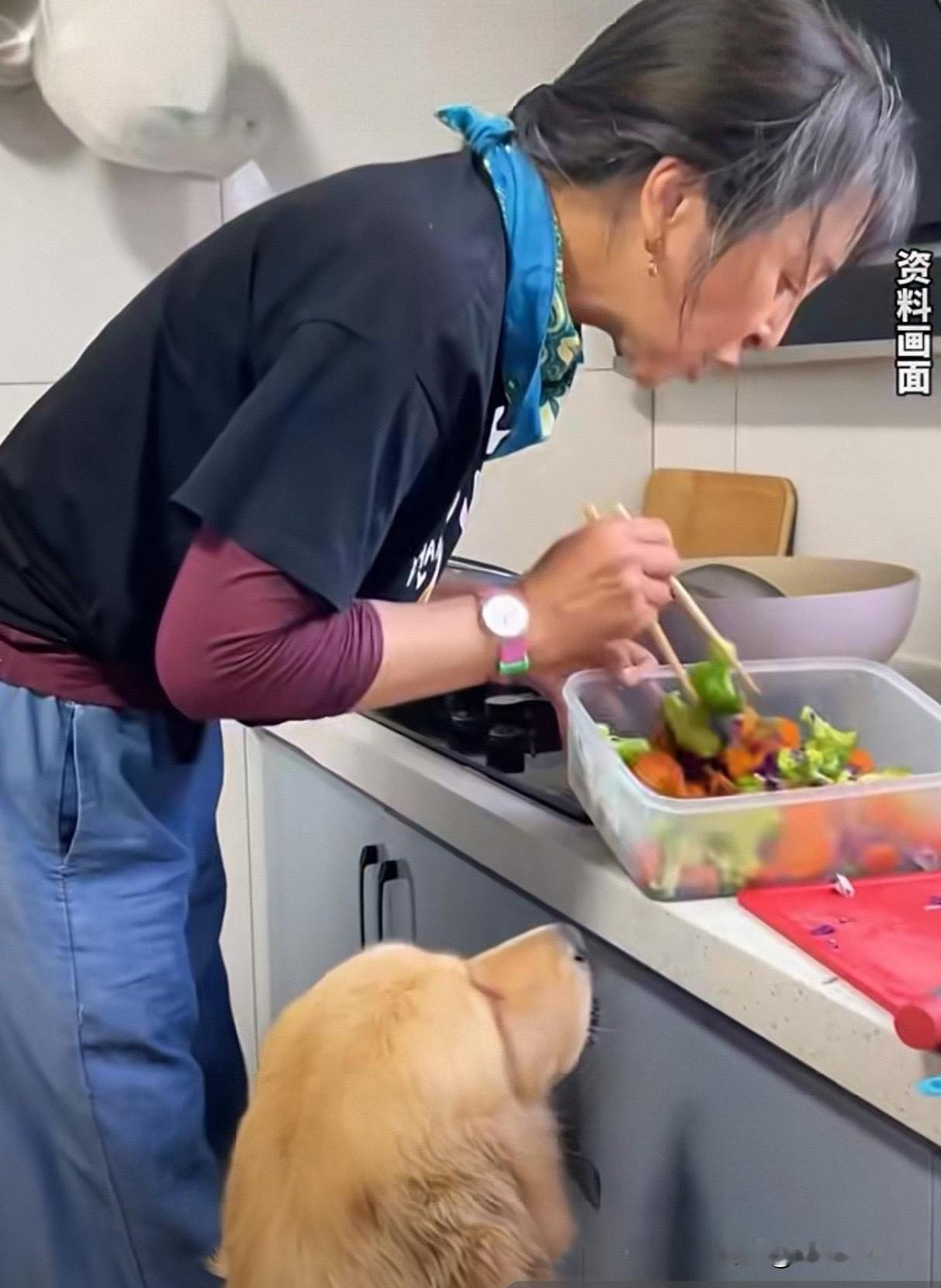 于朦胧的2只爱犬有着落了！善良热心的网友求助演员李勤勤收留其爱犬，李勤勤答应了。