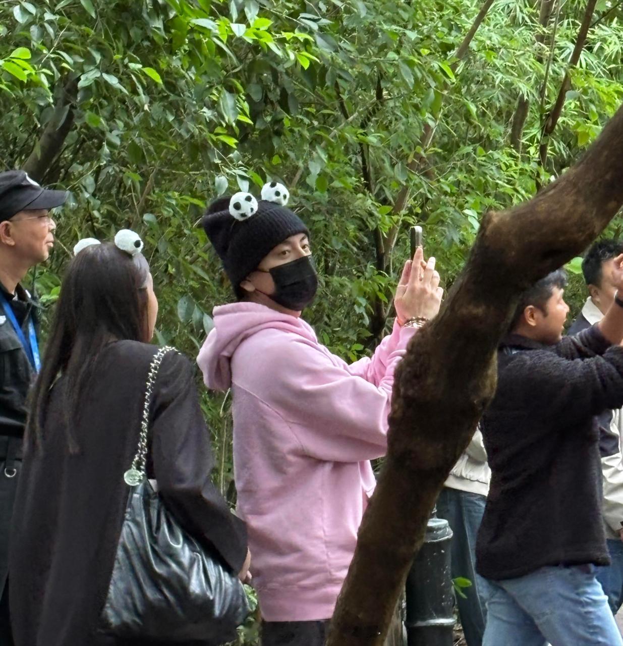 #王大陆带女友看大熊猫##偶遇王大陆带女友看大熊猫# 偶遇王大陆带女友看大熊猫 